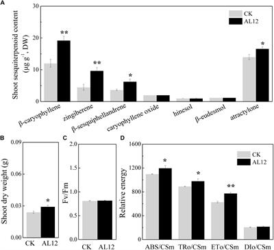 Comparative Transcriptomics and Proteomics of Atractylodes lancea in Response to Endophytic Fungus Gilmaniella sp. AL12 Reveals Regulation in Plant Metabolism